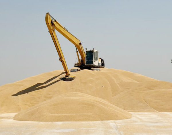 الزراعة 600x470