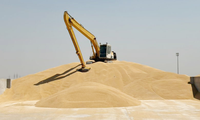 الزراعة