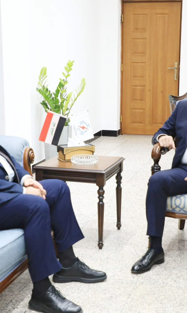 وزير الكهرباء 600x1000